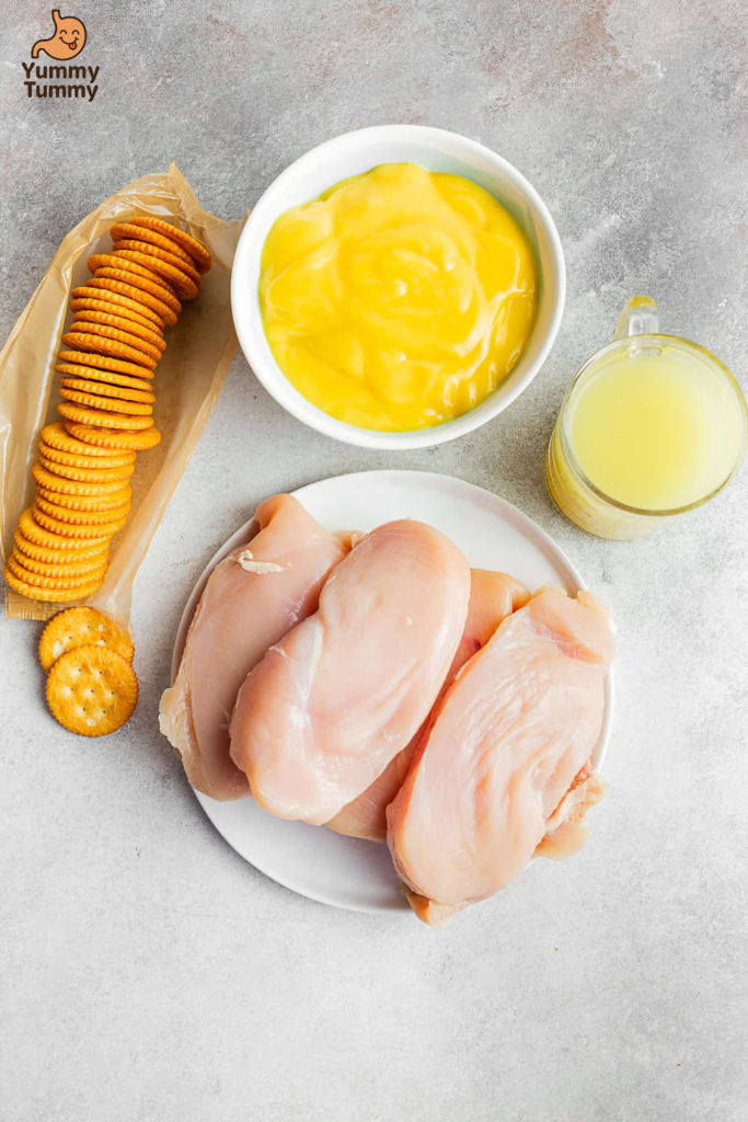 Shredded Chicken Sandwich Recipe 3 Shredded Chicken Sandwich Recipe