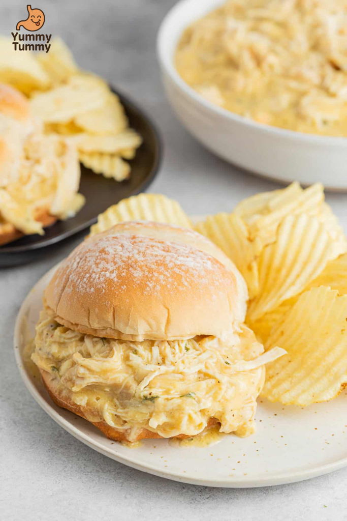 Shredded Chicken Sandwich Recipe 5 Shredded Chicken Sandwich Recipe