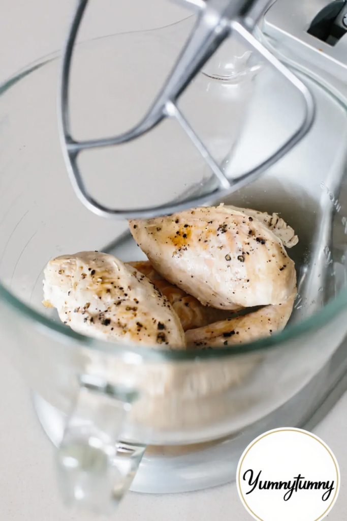 Easy Shredded Chicken Recipe 4 1757321948